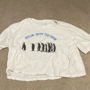 Aerie White Crop Top with Blue Print